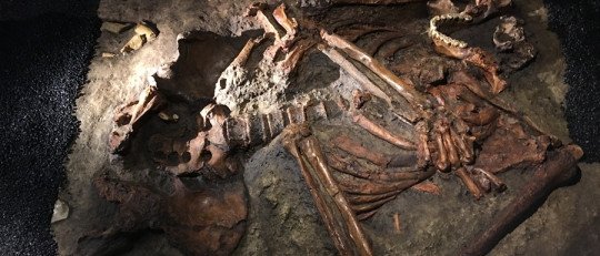 Posible enterramiento neandertal hallado en Kebara 2.