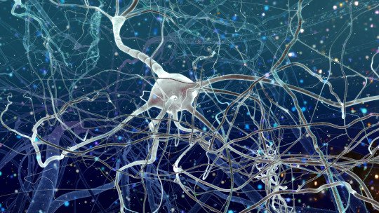 La terapia con psilocibina muestra resultados a largo plazo contra la depresión