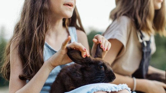 Cómo saber si mi hijo tiene TDAH: Guía para padres y madres