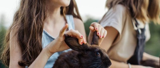 Cómo saber si mi hijo tiene TDAH: Guía para padres y madres