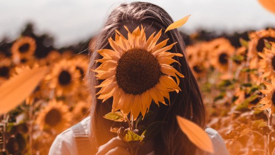 Vivir el presente: cómo entrenar tu mente para estar aquí y ahora