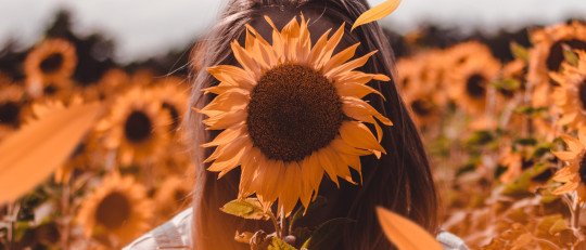 Vivir el presente: cómo entrenar tu mente para estar aquí y ahora