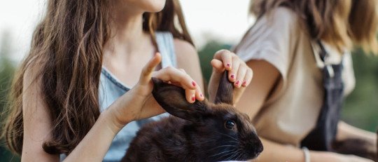 ¿El Homeschooling hace que los niños tengan menos habilidades sociales?