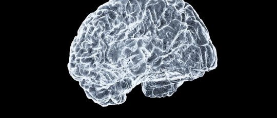 Así es como cambia el Cerebro de las personas con Depresión que van a Terapia