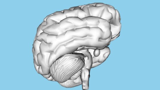 La Menopausia afecta al cerebro de las mujeres, según un estudio