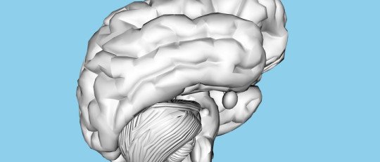 La Menopausia afecta al cerebro de las mujeres, según un estudio