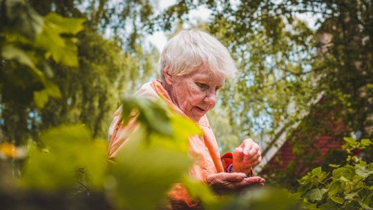 Algunas áreas del cerebro crecen cuando envejecemos