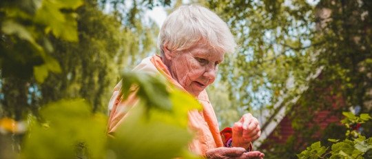 Algunas áreas del cerebro crecen cuando envejecemos