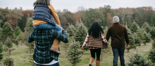 La carga invisible de ser siempre el psicológicamente fuerte en la familia
