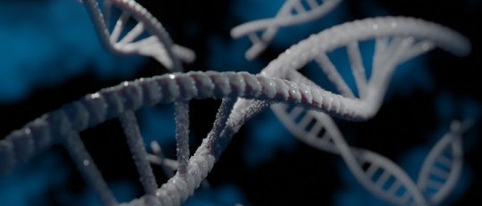 ¿Cuál es la relación entre Genética y Adicción?