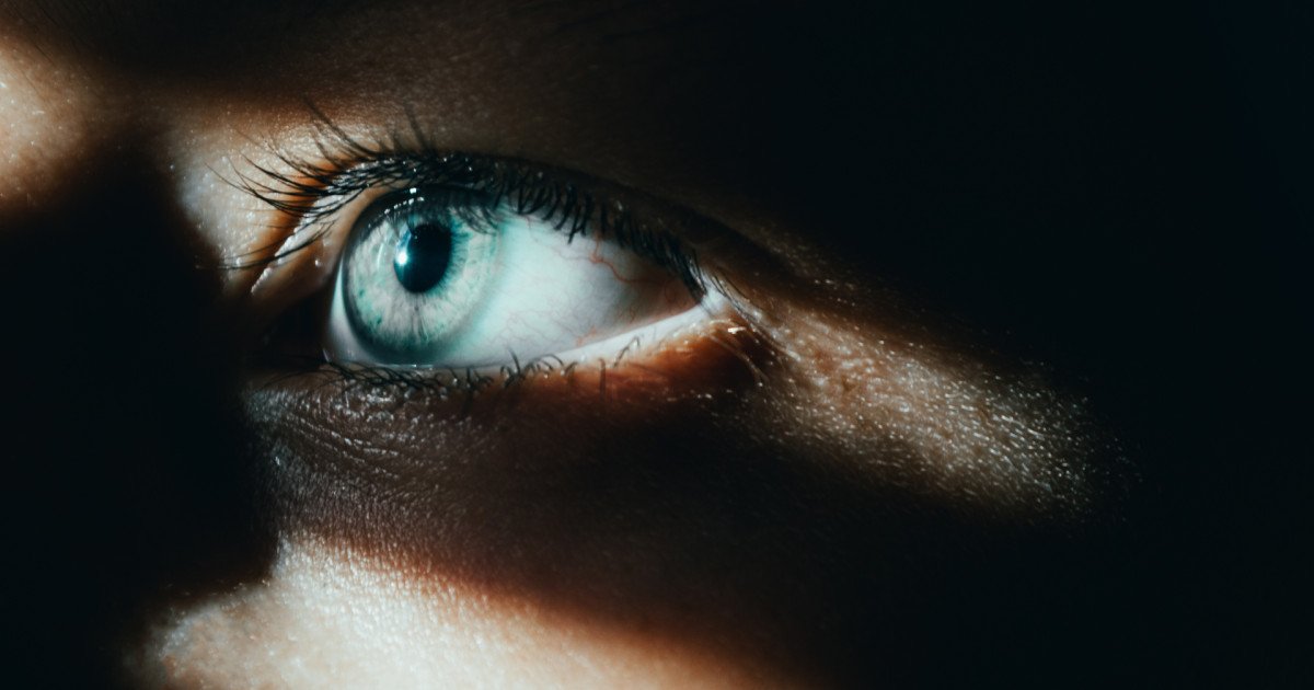 Enfrentar los problemas o huir de ellos: un análisis sobre la respuesta humana ante la adversidad