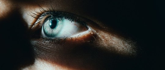 Enfrentar los problemas o huir de ellos: un análisis sobre la respuesta humana ante la adversidad