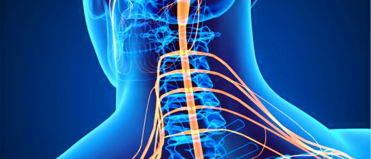 Síndrome de Brown Sequard.