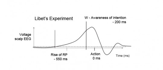 Experimento de Libet