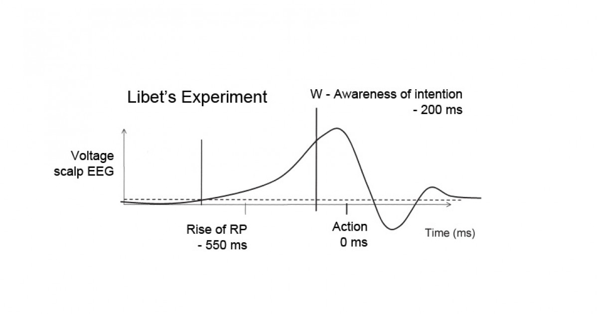 libet experiment ergebnis