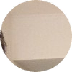 María Belén Castagnino