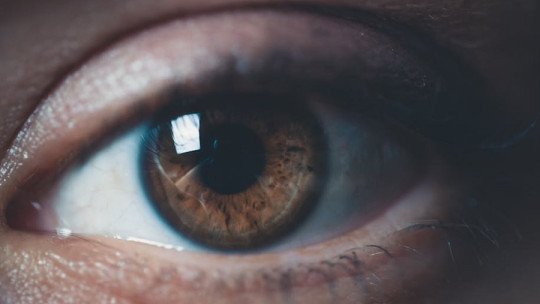 La eficacia de la Neuro Hipnosis Contemplativa