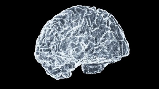 El Mapa de la Decisión: la Revolución Neurobiológica del 'Instante Cero'