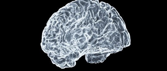 El Mapa de la Decisión: la Revolución Neurobiológica del 'Instante Cero'