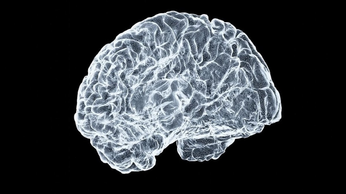 El Mapa de la Decisión: la Revolución Neurobiológica del 'Instante Cero'