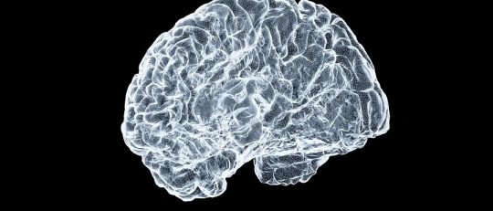Así es como las adicciones no tratadas envejecen el cerebro
