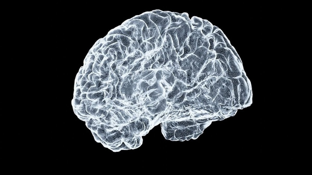 Así es como las adicciones no tratadas envejecen el cerebro