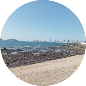 Hiram Reynel Alarcón López