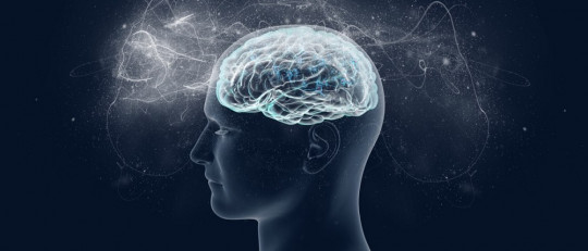 Másters en Neuropsicología