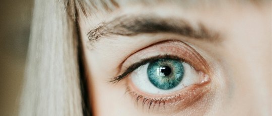 ¿Pueden las pupilas expresar emociones?