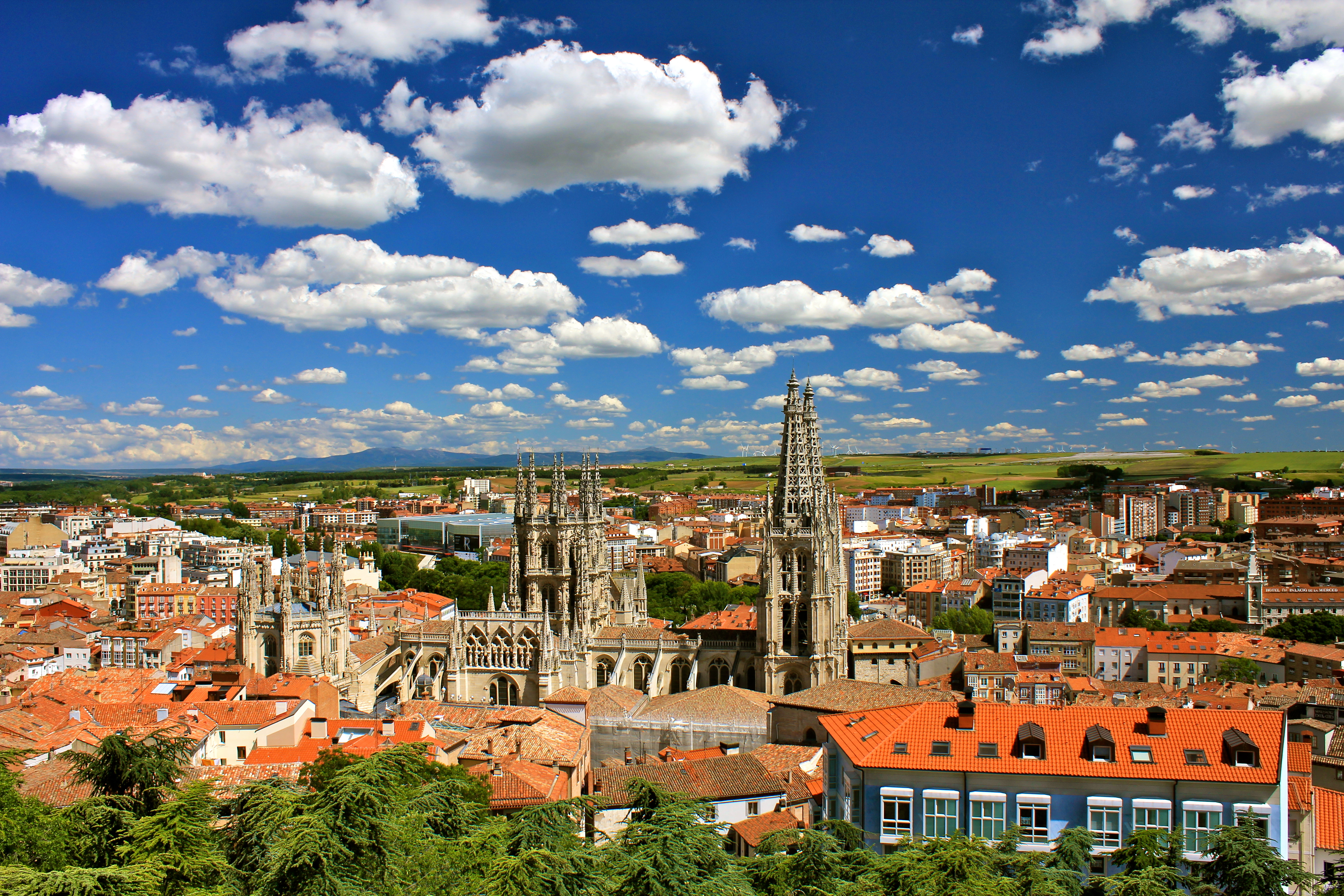 Psicólogos expertos en Terapia de Pareja en Burgos