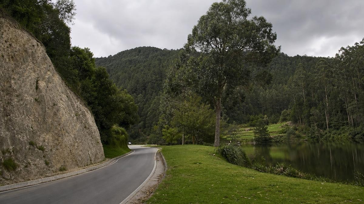Profesionales de la psicología en La Calera