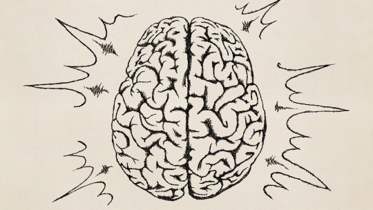 Biología del comportamiento: ¿cómo convierte el cerebro lo que sentimos en lo que hacemos?