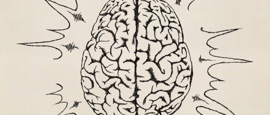 Biología del comportamiento: ¿cómo convierte el cerebro lo que sentimos en lo que hacemos?