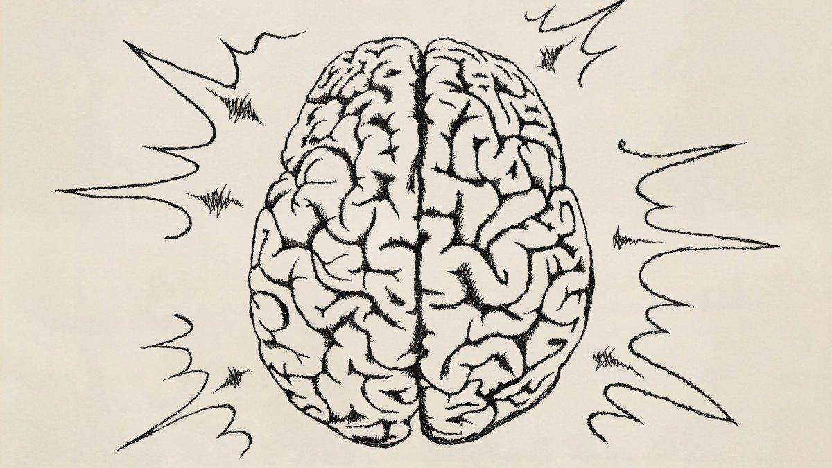 Biología del comportamiento: ¿cómo convierte el cerebro lo que sentimos en lo que hacemos?