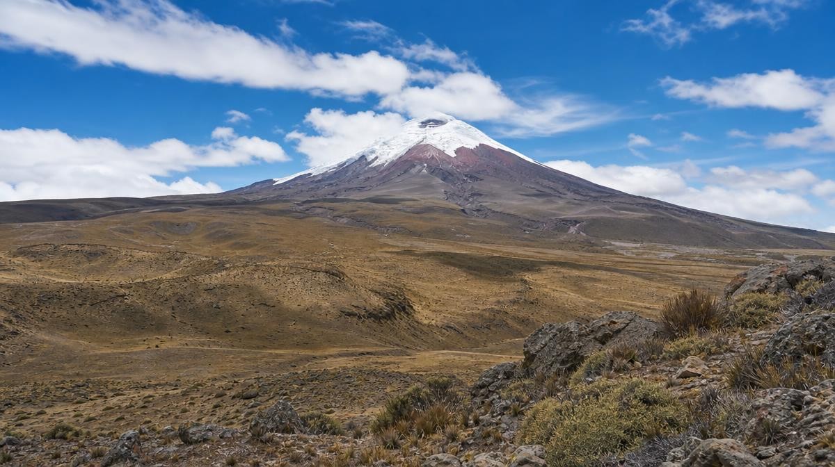 Expertos en Terapia Integrativa en Ecuador