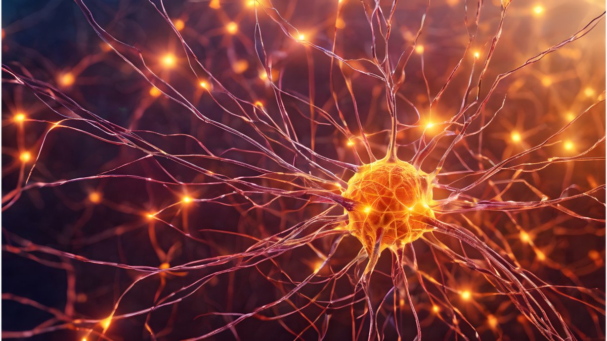 Tu cerebro tiene un turno de limpieza nocturno (y probablemente lo estás cancelando)