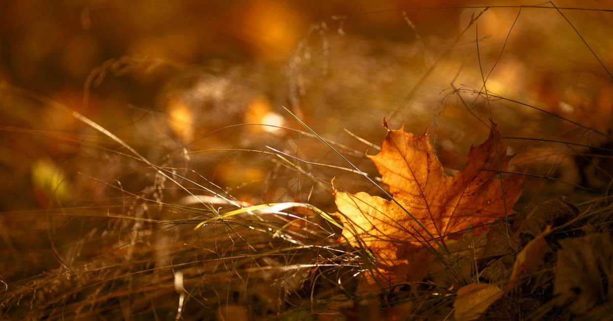 Cambio de hora y otoño: cómo pueden afectar a nuestra salud mental