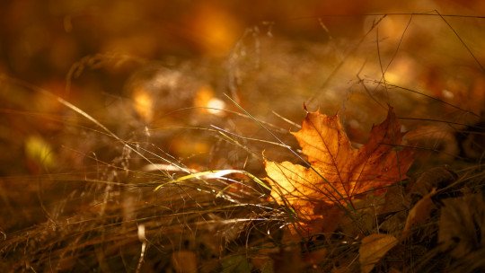 Cambio de hora y otoño: cómo pueden afectar a nuestra salud mental