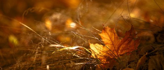Cambio de hora y otoño: cómo pueden afectar a nuestra salud mental