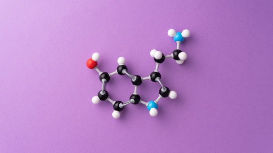 ¿Existen realmente las hormonas de la felicidad?