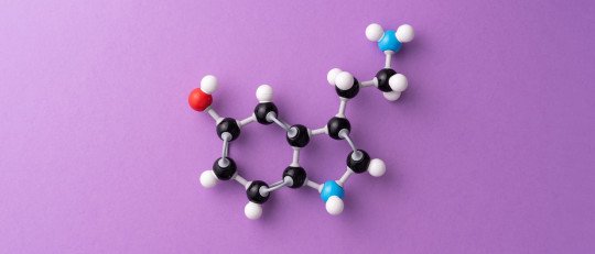 ¿Existen realmente las hormonas de la felicidad?
