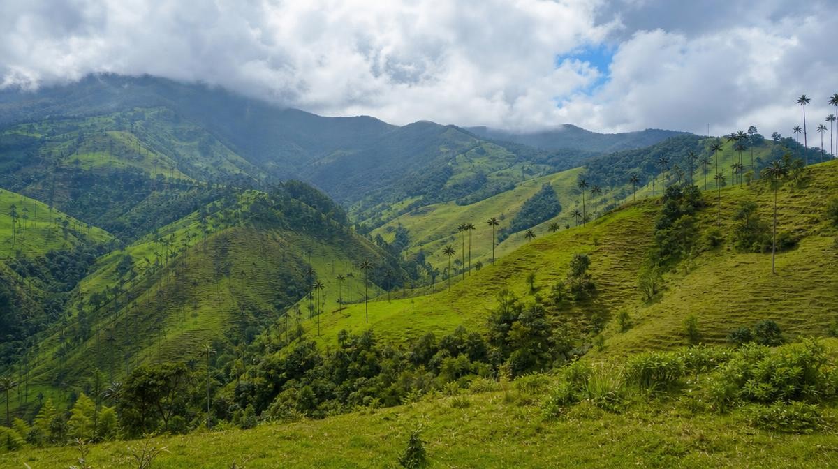 Psicólogos expertos en adicciones en Colombia