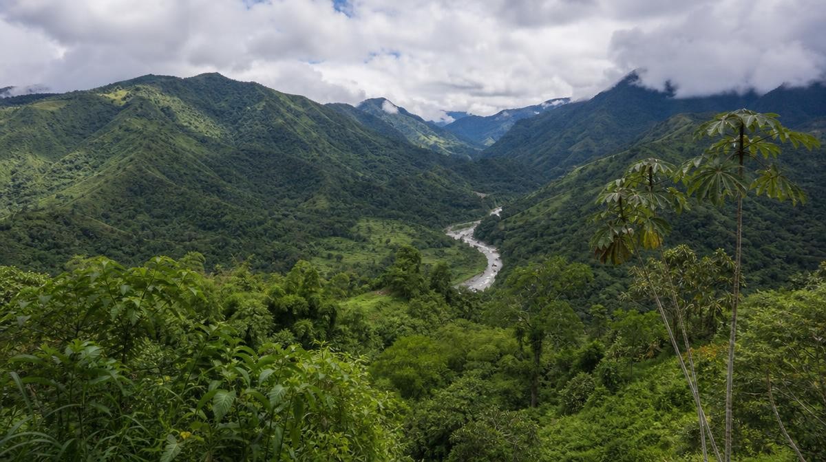 Psicólogos expertos en EMDR en Colombia