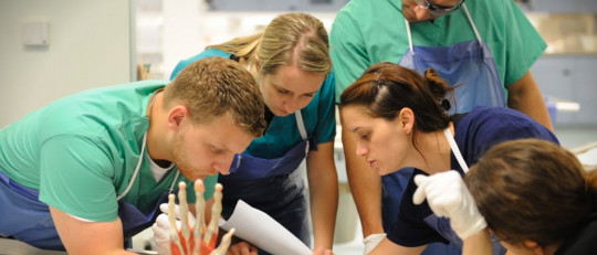 El lenguaje como marcador de poder