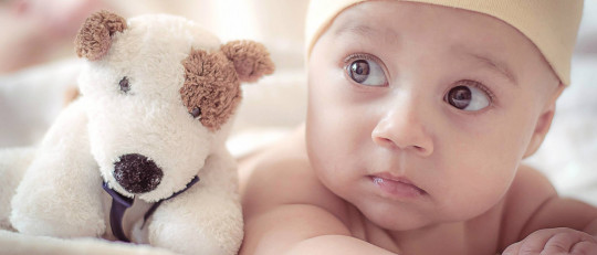 Bebés de alta demanda