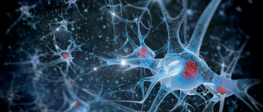 Potencial de acción