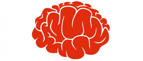 Preguntas sobre neurociencias