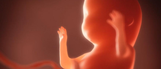 Síndrome de alcoholismo fetal