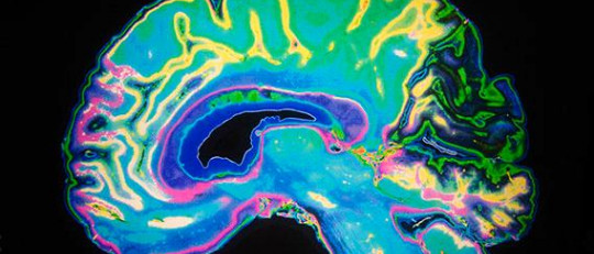 Dopamina: 7 funciones esenciales de este neurotransmisor