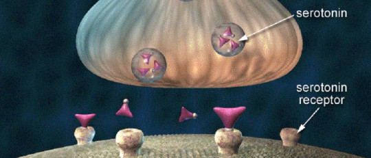 Receptores neuronales